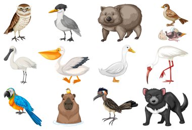 Farklı türde hayvan koleksiyonu.