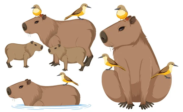 Set Different Capybara Cartoon Style Illustration — Stock Vector
