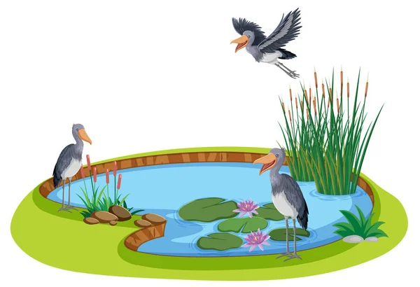 Obuv Ilustrací Přírodního Rybníka — Stockový vektor