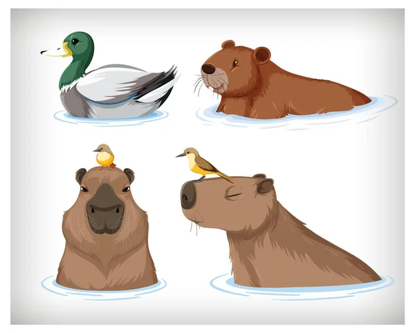 Set Diversi Capibara Illustrazione Stile Cartone Animato — Vettoriale Stock
