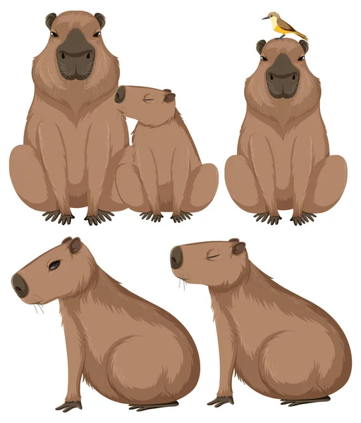 Conjunto Diferentes Capibara Ilustración Estilo Dibujos Animados — Vector de stock