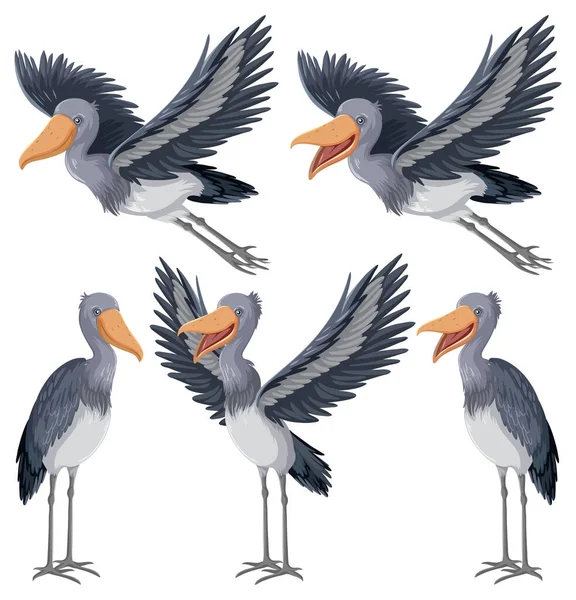 Conjunto Diferentes Pájaros Cigüeña Ilustración Estilo Dibujos Animados — Archivo Imágenes Vectoriales