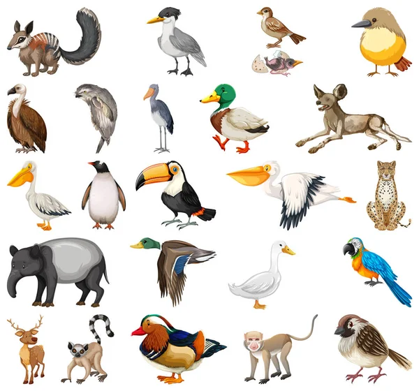 Различные Виды Иллюстраций Коллекции Животных — стоковый вектор