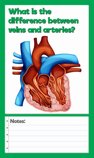 Ciencia Experimento Registro Hoja Trabajo Ilustración — Vector de stock