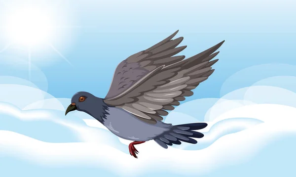 Rock Dove Bird Flying Sky Illustration — Stock Vector
