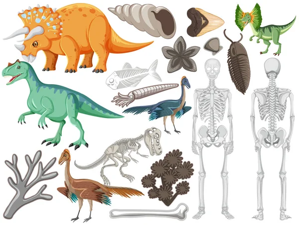 Ensemble Différentes Illustrations Préhistoriques Animaux Dinosaures — Image vectorielle