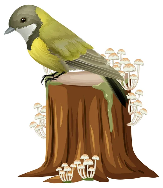 站在圆木上的可爱的小鸟 — 图库矢量图片