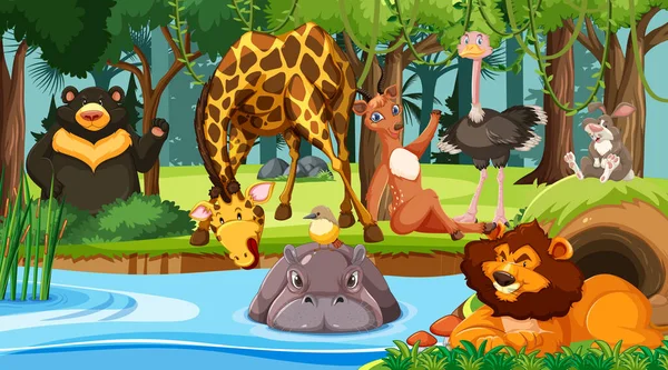 Divoká Zvířata Džungli Ilustrace — Stockový vektor