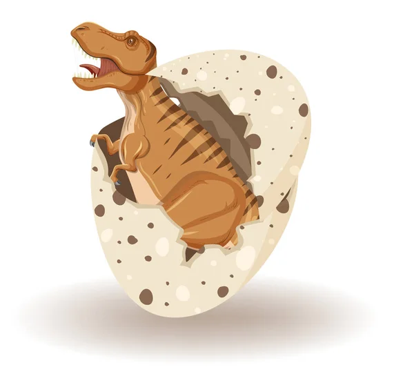 Tyrannosaurus Rex Sortant Coquille Oeuf Illustration — Image vectorielle