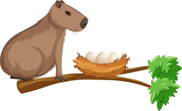 Capybara Sur Branche Avec Illustration Nid Oeuf — Image vectorielle