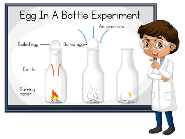 Científico Niño Explicando Huevo Una Ilustración Experimento Botella — Vector de stock