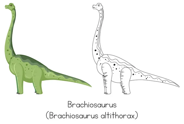 Croquis Dinosaures Illustrant Brachiosaure — Image vectorielle