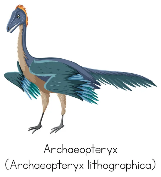 Archaeopteryx Λέξη Λευκό Φόντο Εικονογράφηση — Διανυσματικό Αρχείο