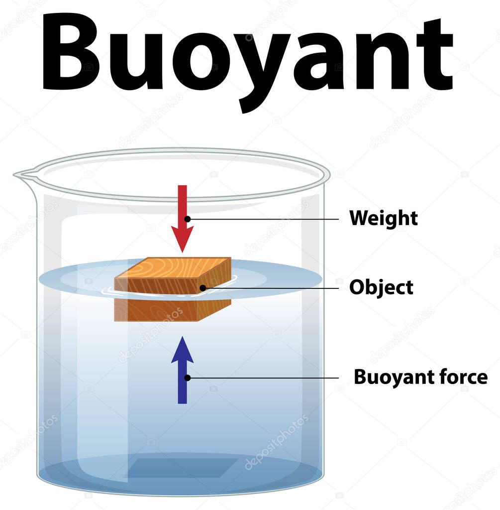 Buoyant science experiment on white background illustration