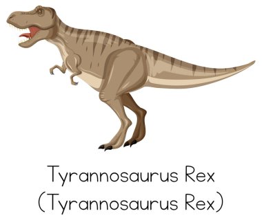 Tyrannosaurus Rex beyaz arkaplanda kükrüyor