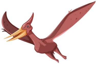 Beyaz arkaplan resimlerinde bir dinozor pteranodonu
