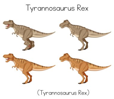 Beyaz arkaplan resimlerinde Tyrannosaurus Rex kelime kartı