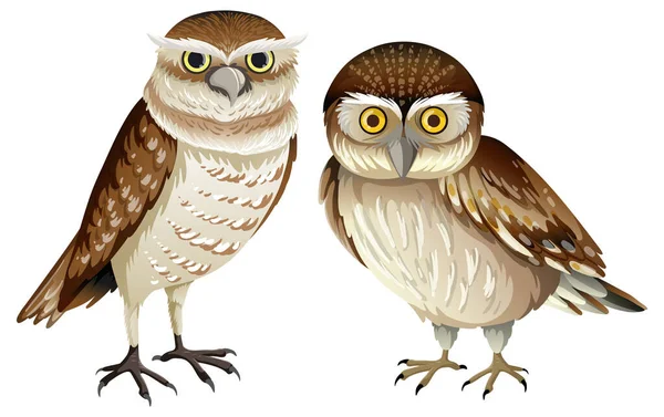 Owl Standing Cartoon Style Illustration — Stock Vector