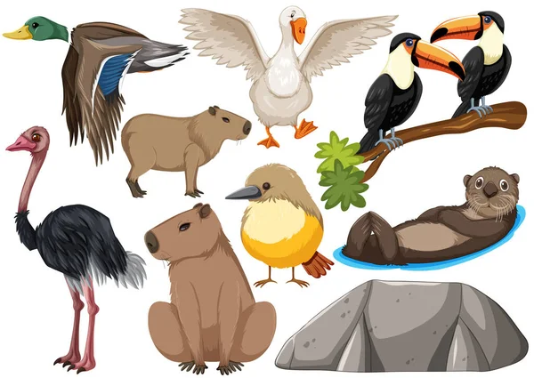 Diferentes Tipos Animales Salvajes Colección Ilustración — Vector de stock