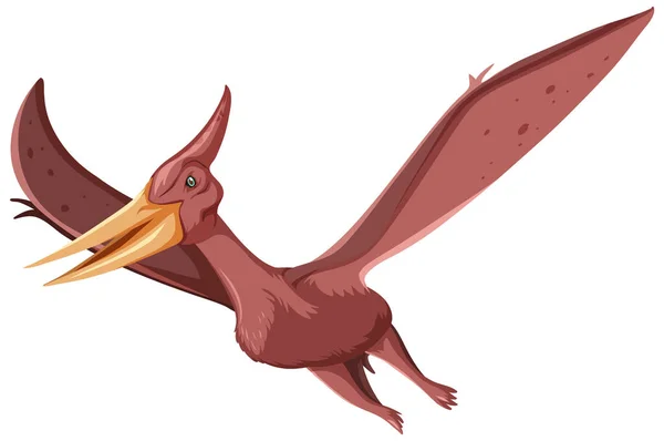 Dinosaurie Pteranodon Vit Bakgrund Illustration — Stock vektor