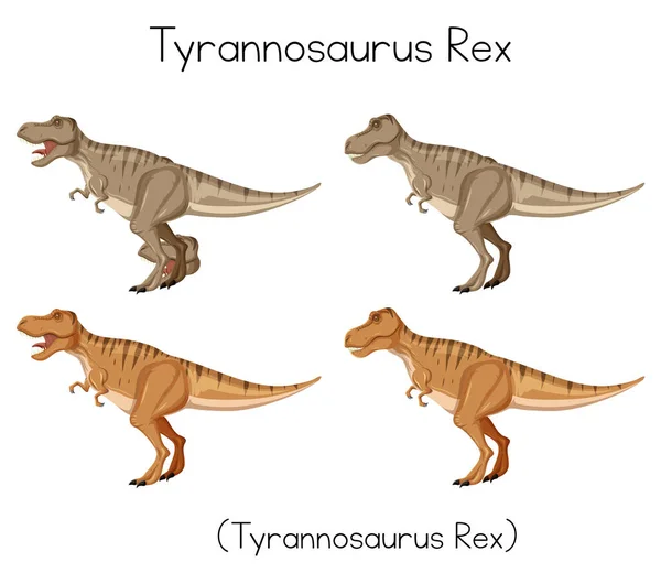 Beyaz Arkaplan Resimlerinde Tyrannosaurus Rex Kelime Kartı — Stok Vektör