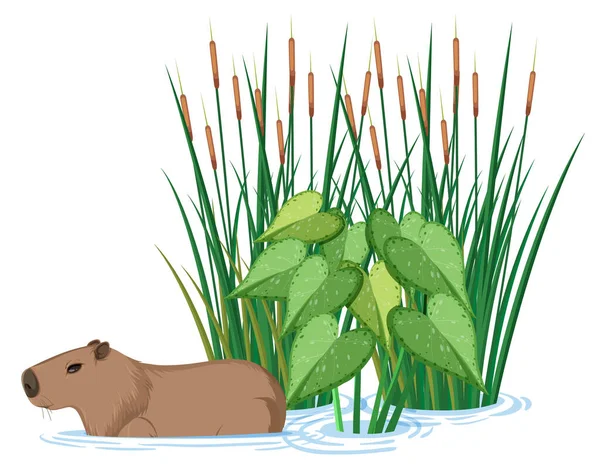 Uma capivara de desenho animado senta-se em uma pilha de livros