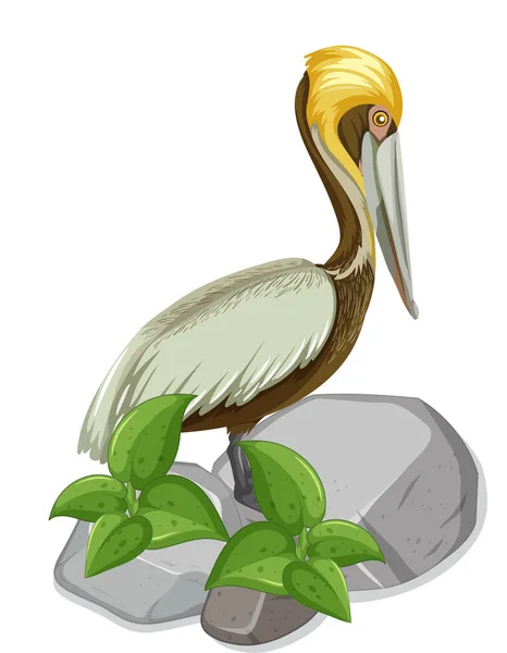 石のイラストに立つペリカン鳥 — ストックベクタ