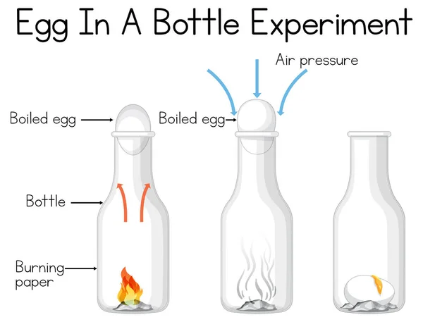 Vetenskap Experiment Att Göra Hemma Med Ägg Flaska Illustration — Stock vektor