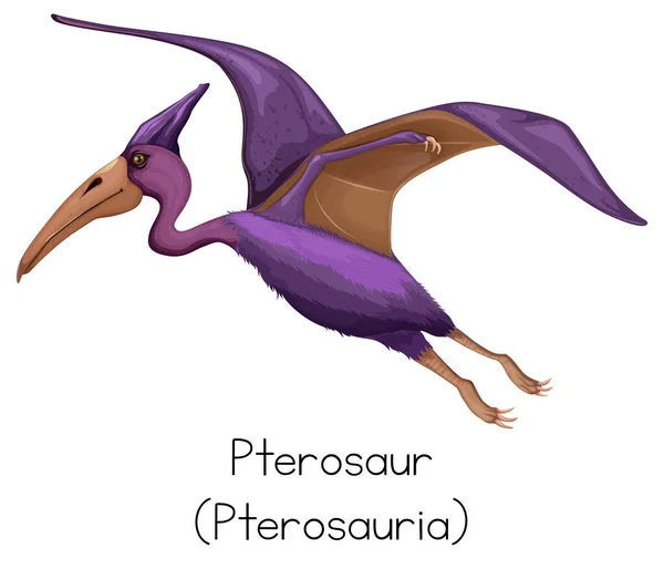 Mor Renkli Resimli Pterosaur Kelime Kartı — Stok Vektör
