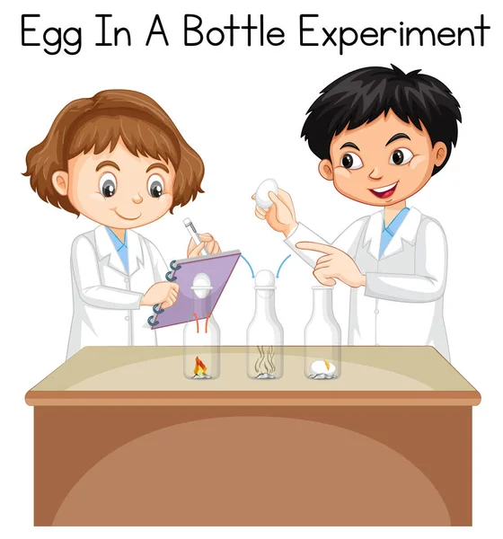 Experimento Científico Para Hacer Casa Con Huevo Una Ilustración Botella — Vector de stock