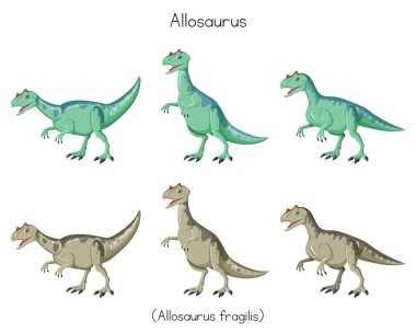 Allosaurus 'un yeşil ve gri renkli çizimleri