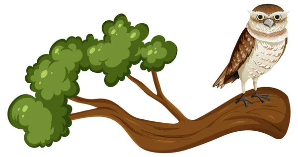 Owl Standing Tree Branch Cartoon Style Illustration — Stock Vector