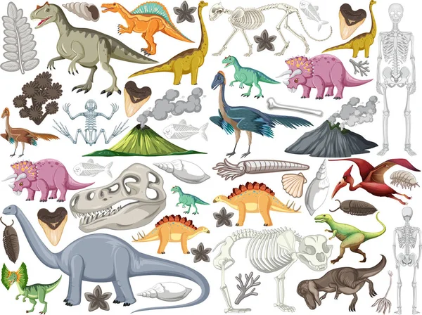 Набор Различных Доисторических Иллюстраций Животных Динозавров — стоковый вектор