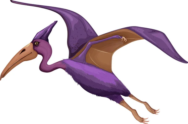 Pteranodon Δεινόσαυρος Λευκό Φόντο Εικονογράφηση — Διανυσματικό Αρχείο