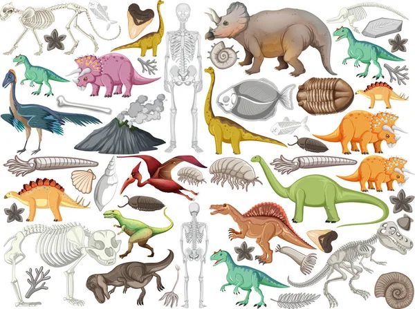 Uppsättning Olika Förhistoriska Dinosaurie Djur Illustration — Stock vektor