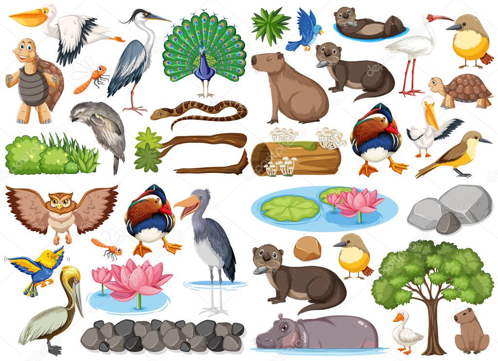 Different kinds of wild animals collection illustration