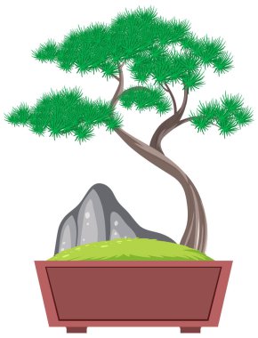 Bonsai ağacı beyaz arkaplan resimlerinde saksıda