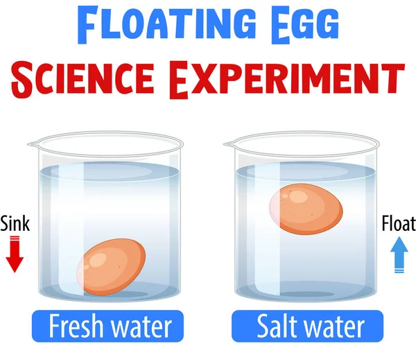 Ілюстрація Експерименту Плаваючою Яєчною Наукою — стоковий вектор