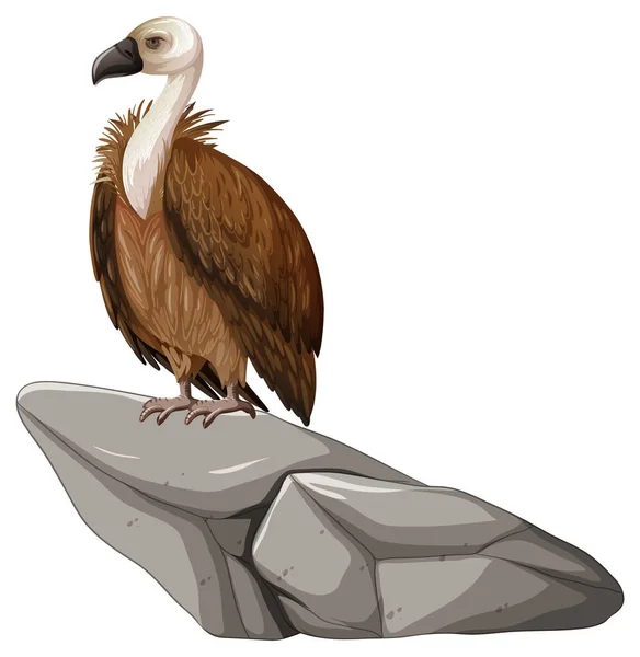 秃鹫站在白色底图上的石头上 — 图库矢量图片
