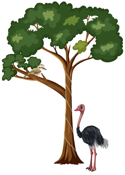 Στρουθοκάμηλος Στέκεται Κάτω Από Την Απεικόνιση Δέντρο — Διανυσματικό Αρχείο