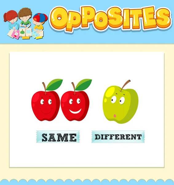 Mots Opposés Pour Une Illustration Identique Différente — Image vectorielle
