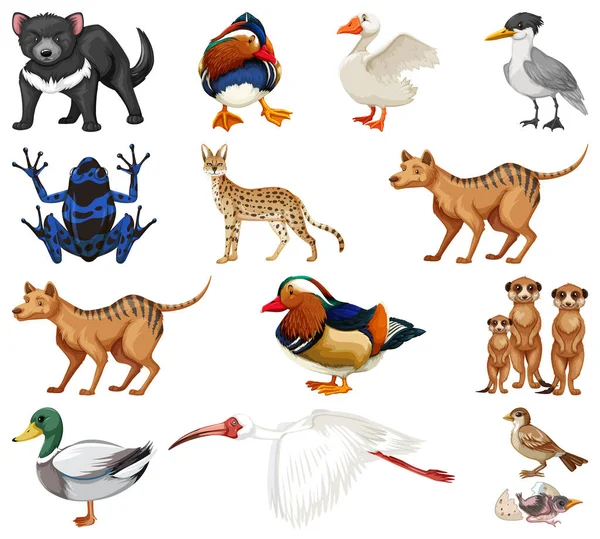 Různé Druhy Zvířat Sbírka Ilustrace — Stockový vektor