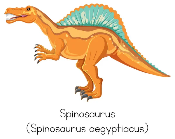 Spinosaurus Illüstrasyonu Için Kelime Kartı Tasarımı — Stok Vektör