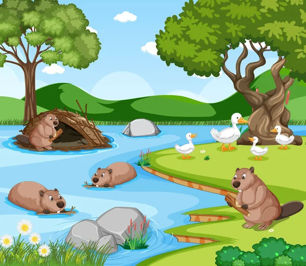 River Forest Beavers Ducks Illustration — Stock Vector