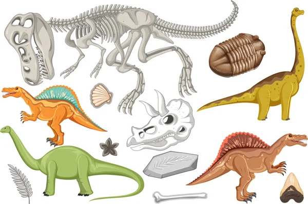 Ensemble Dinosaures Illustrations Fossiles — Image vectorielle