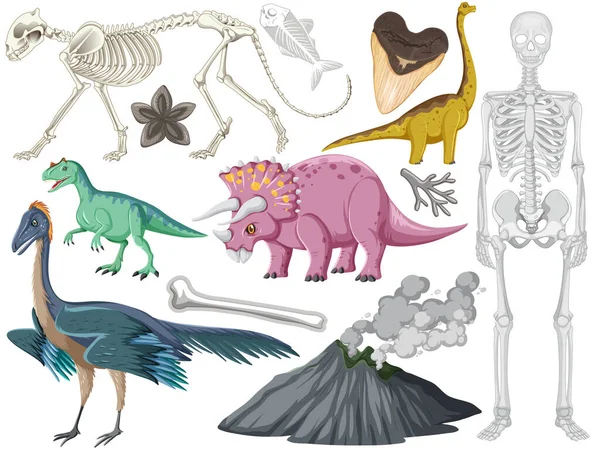 Farklı Tarih Öncesi Dinozor Örnekleri — Stok Vektör