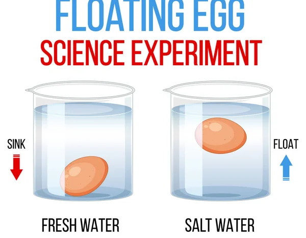 Wissenschaft Experiment Mit Schwimmenden Eizellen Illustration — Stockvektor
