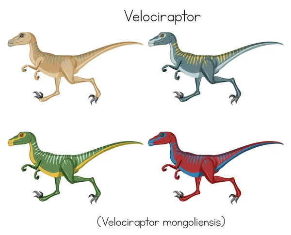 Velociraptor Four Colors Illustration — Stock Vector