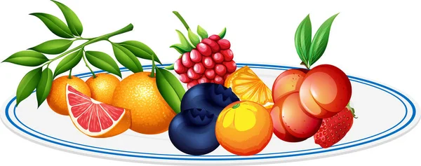 Frutas Mezcladas Plato Sobre Fondo Blanco Ilustración — Vector de stock