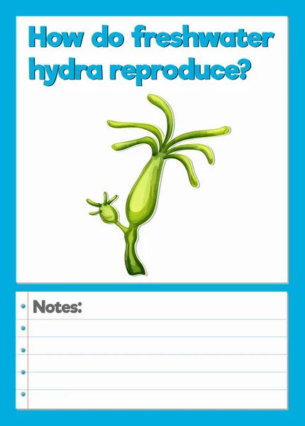 Science Experiment Record Arbeitsblatt Der Hydra Illustration — Stockvektor